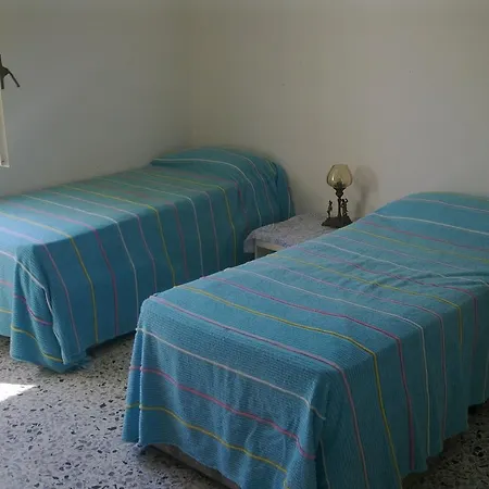 Daire - Campomulini