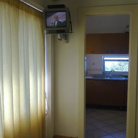 - Campomulini *