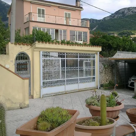 - Campomulini