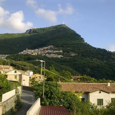 - Campomulini