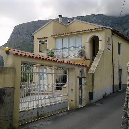 - Campomulini