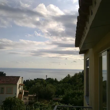 - Campomulini